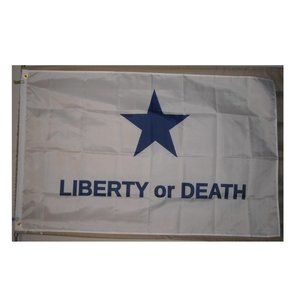 Troutman Georgia Volunteers Texas Liberty or Death 3' x 5' White Flag Banner
